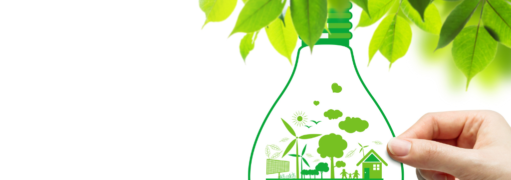 Parque Tecnológico Biopark Inicia Projeto de Corredores Ecológicos com Plantio de 1.300 Árvores