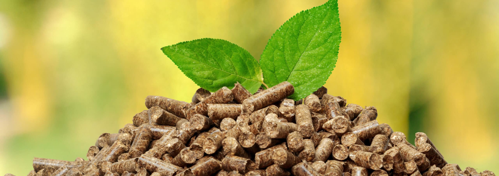 Recorde na Geração de Energia com Biomassa: Destaque para o Potencial da Madeira