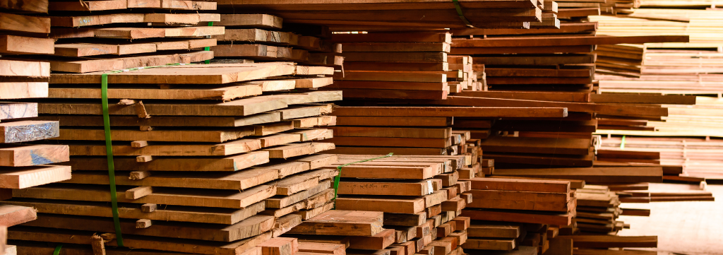 Desafios e Perspectivas: Exportações de Madeira do Pará Sofrem Queda de 39% em 2023 e gera dúvidas para 2024