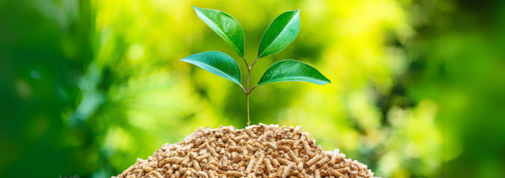 Os Principais Mercados Globais de Importação de Pellets de Madeira em 2022