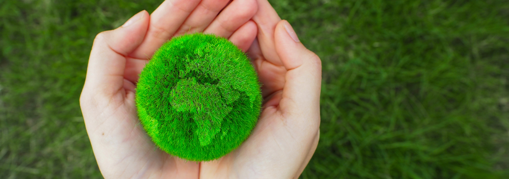 Inovação e Sustentabilidade Impulsionam Eficiência Energética e Geração de Empregos no Setor Florestal